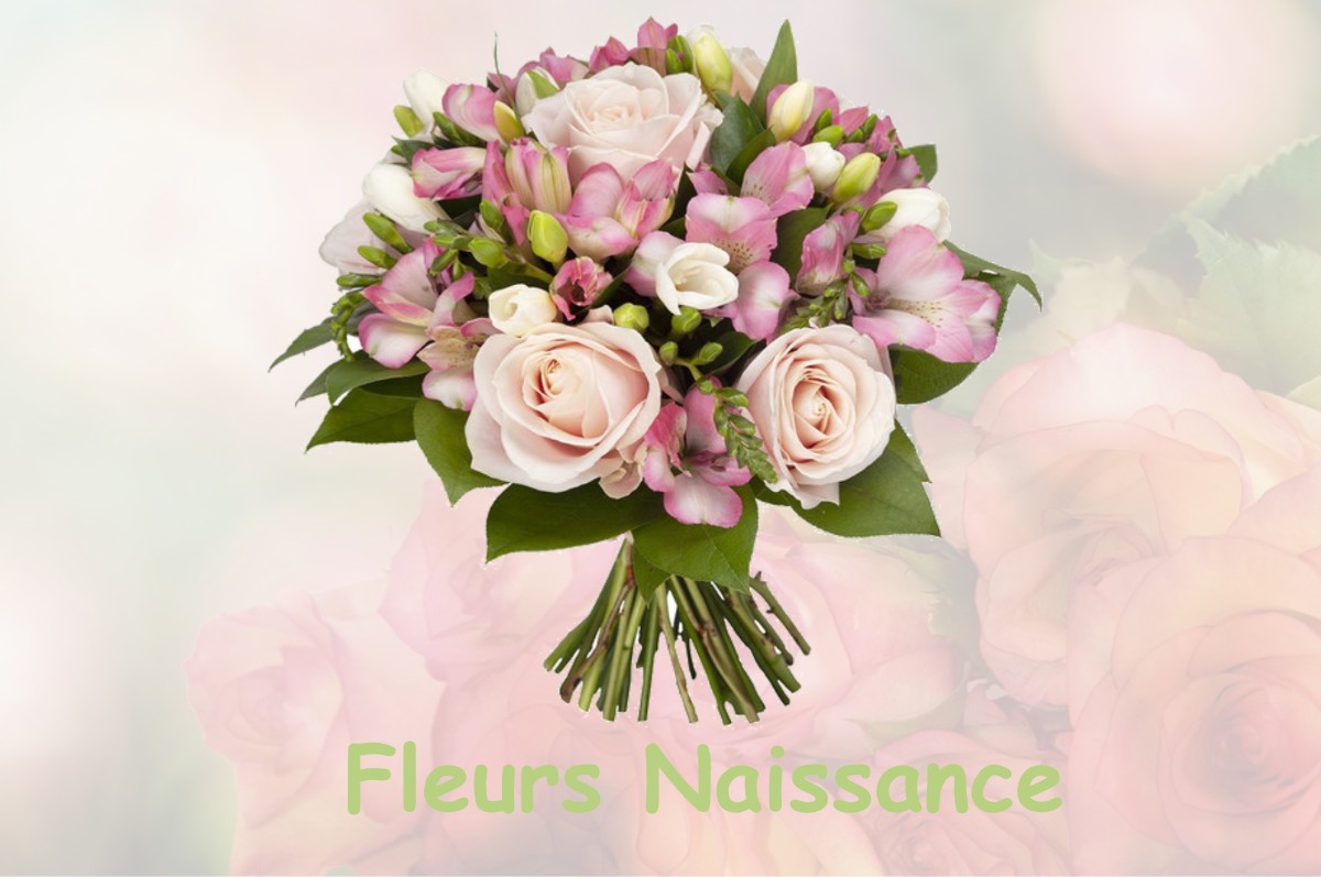 fleurs naissance SEMOY