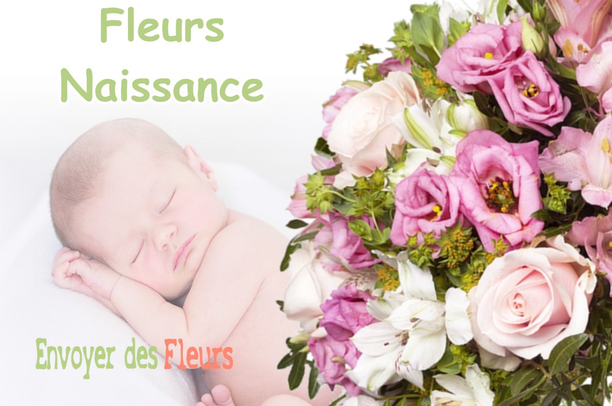 lIVRAISON FLEURS NAISSANCE à SEMOY